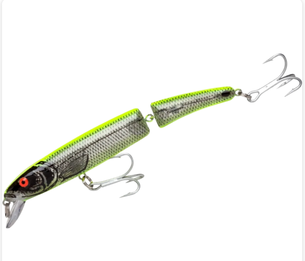 Bomber Saltwater Grade Heavy Duty Long A Hard Jerkbait