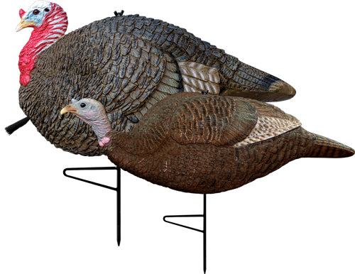 Primos Turkey Decoy Lil - Gobbstopper Jake-hen Combo