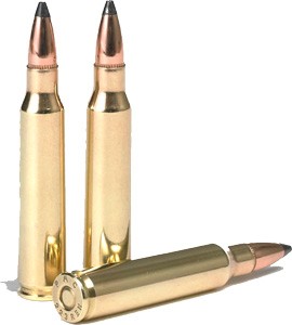 Pmc 223 Rem 55gr Jsp - 20rd 40bx-cs 3