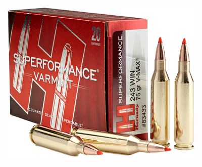 Hornady Spf Varmint 243 Win - 75gr V-max 20rd 10bx/cs