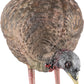 Avian X Lcd Feeder Hen Decoy -