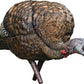 Avian X Lcd Feeder Hen Decoy -