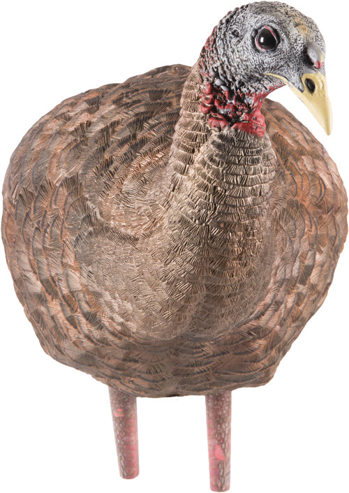 Avian X Lcd Breeder Hen Decoy - 3