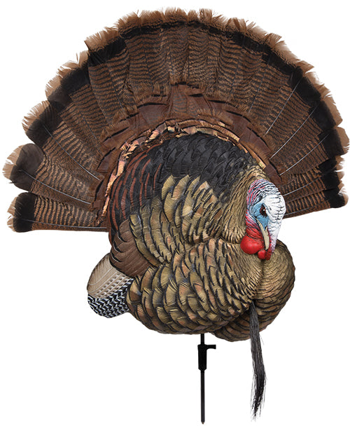 Avian X Trophy Tom Decoy - 3