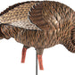 Avian X Hdr Feeding Hen Decoy -