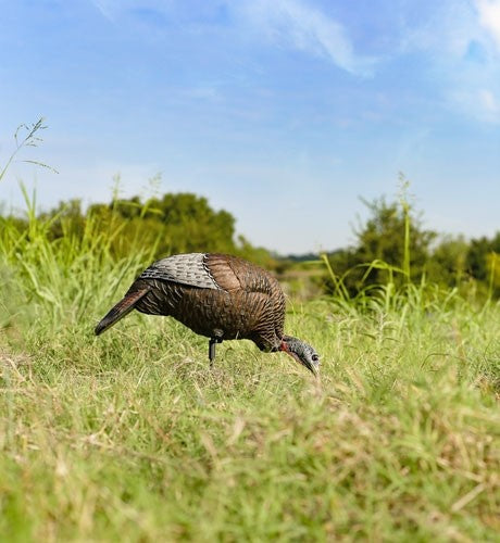 Flextone Thunder Chick Feeding - Hen Decoy W-stake