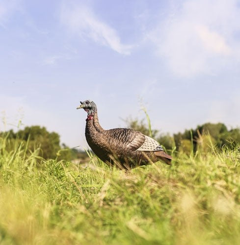 Flextone Thunder Chick Upright - Hen Decoy W-stake
