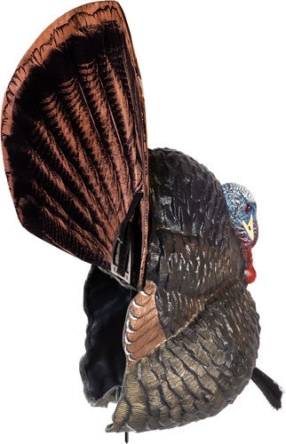 Flextone Thunder Creeper - Strutter Decoy W- Folding Fan