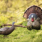 Flextone Thunder Creeper - Strutter Decoy W- Folding Fan