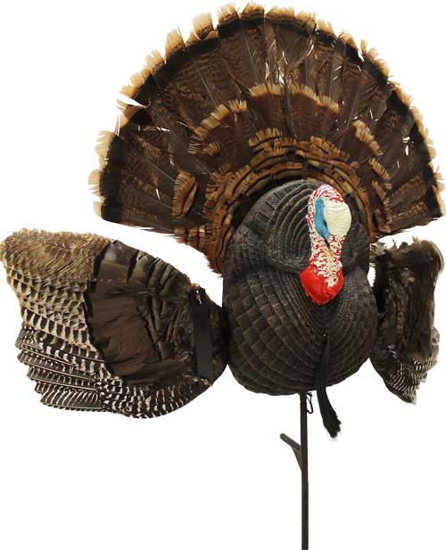 Mojo Scoot N Shoot Max Turkey - Decoy 1