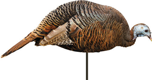 Montana Decoy Turkey Hen - Dinner Beele