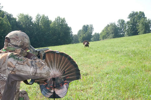 Montana Decoy Turkey Gobbler - Fanatic 2d 3