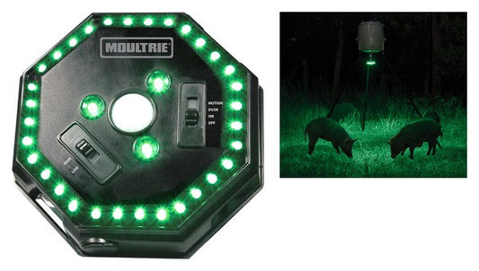 Moultrie Feeder Hog Light 30' - Radius Green Led Motion Activa