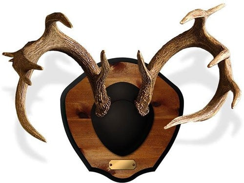 Mountain Mike's Deer Antler - Plaque Master Classic Kit
