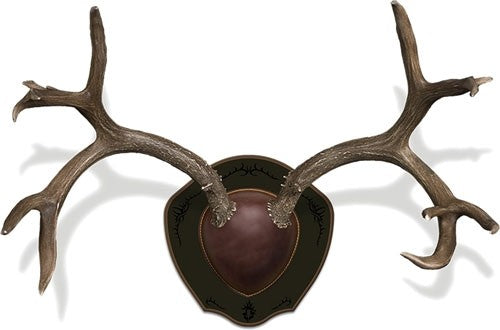 Mountain Mike's Deer Antler - Rack Plaque W-shed Spreader 4