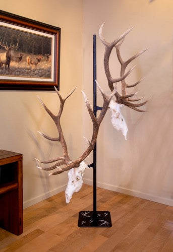 Skull Hooker Trophy Tree W- 5 - Brackets Customizable Display