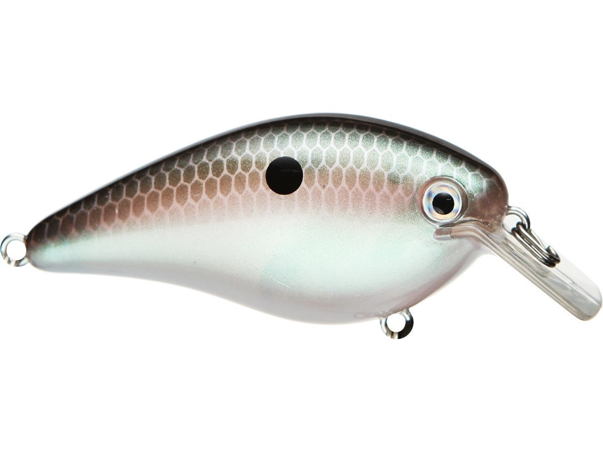 Strike King KVD 1.5 Square Bill Silent Crankbait 6