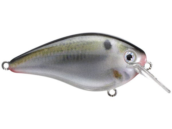 Strike King KVD 2.5 Square Bill Silent Crankbait 4