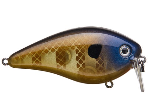 Strike King HC KVD 2.5 Wake Bait 6
