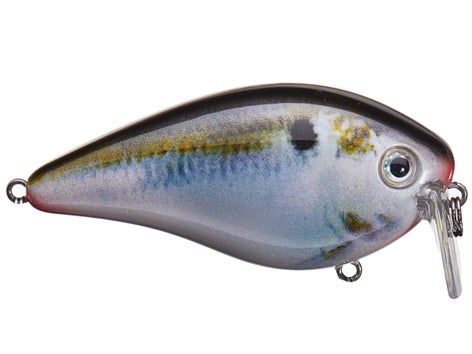 Strike King HC KVD 2.5 Wake Bait 5