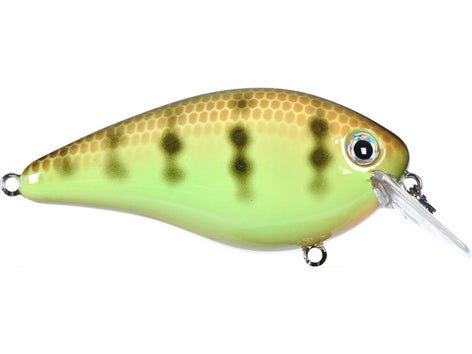 Strike King KVD 2.5 Square Bill Silent Crankbait 8