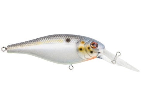 Berkley Bad Shad Crankbait 5