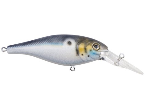 Berkley Bad Shad Crankbait 6