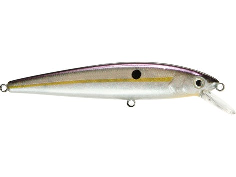 Strike King KVD Jerkbait 6