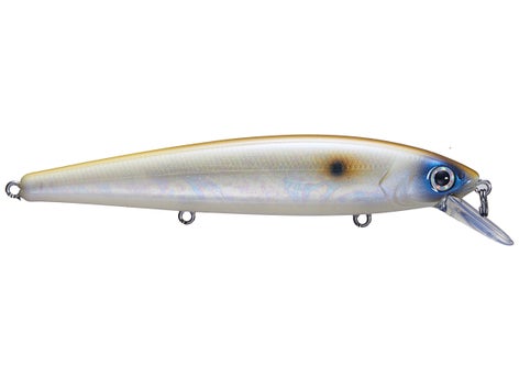 Strike King KVD Jerkbait 8