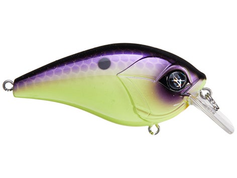 Googan Squad Mini Banger Squarebill Crankbait 6