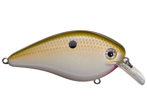 Strike King KVD Magnum Squarebill Crankbait 5