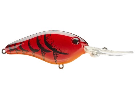 Strike King Pro Model 8XD Crankbait 6
