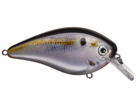 Strike King KVD Magnum Squarebill Crankbait 9