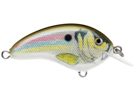 Rapala Ott's Garage Tiny 4 Crankbaits 8