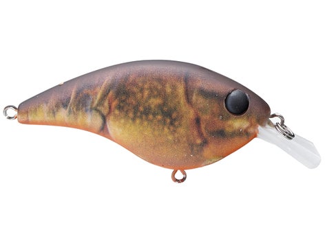 Berkley Frittside Crankbait 10