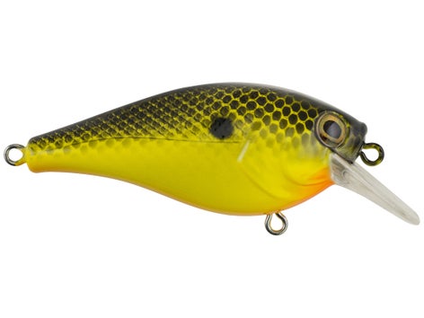 Berkley Squarebull Crankbait 5