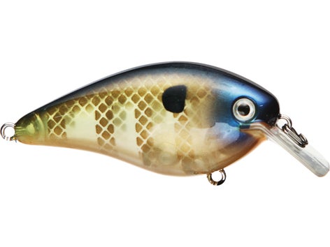 Strike King KVD 1.5 Square Bill Silent Crankbait 17