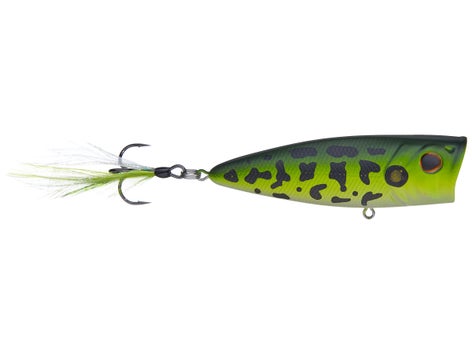 Berkley Bullet Pop Topwater