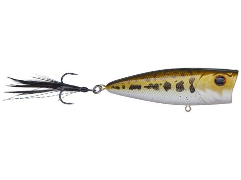 Berkley Bullet Pop Topwater