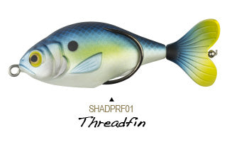 Lunkerhunt Prop Fish 5